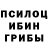 Псилоцибиновые грибы GOLDEN TEACHER Ah'mad