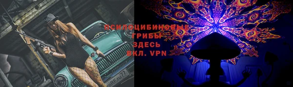 альфа пвп Магас